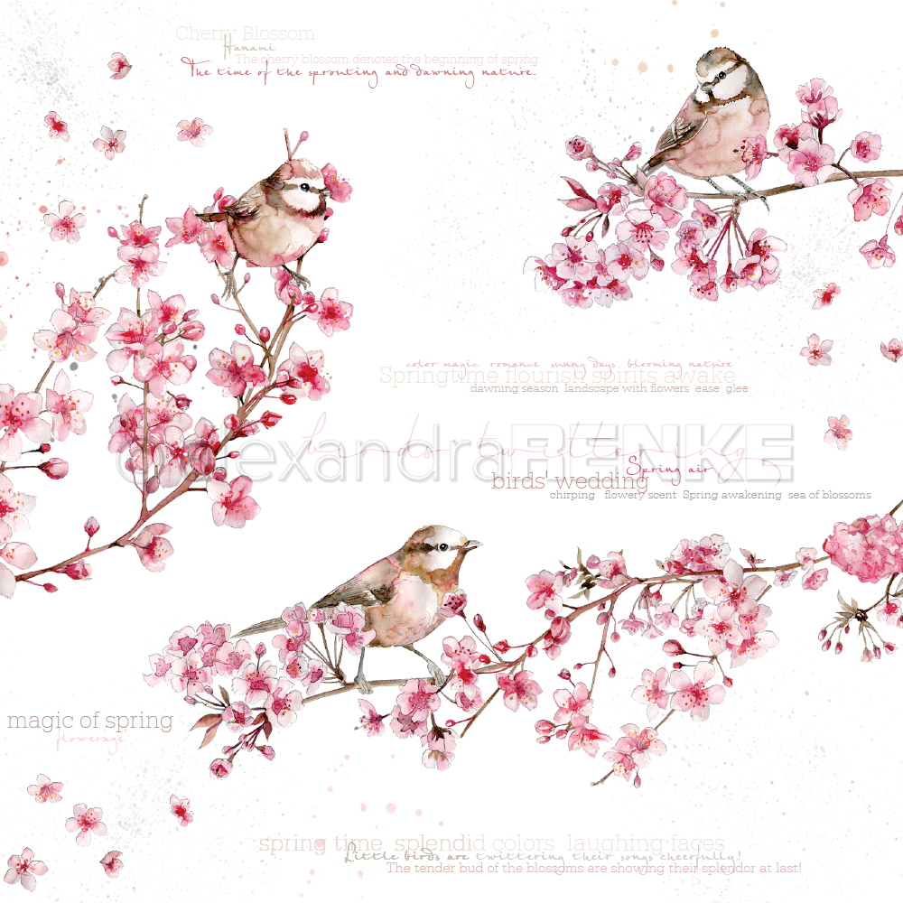 Design-Papier Vögel in Kirschblüten international