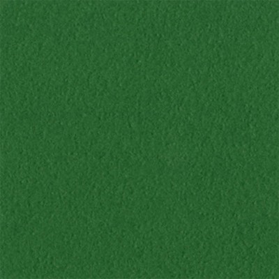 Scrapbooking-Papier Bazzill Classic Green