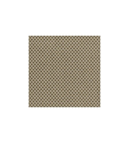 Cardboard Polka Dot (Kartondicke) 12 x 12"