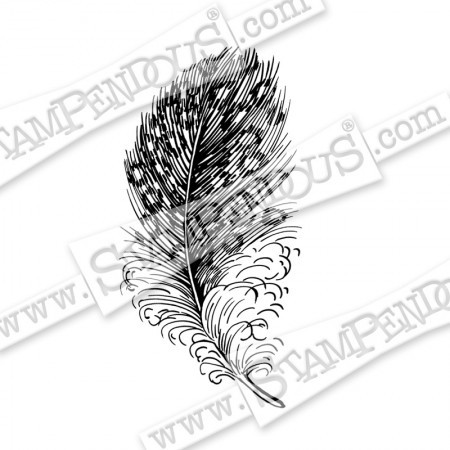 Cling Spotted Feather / Feder auf EZ-Mount