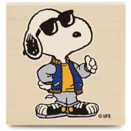 Cooler Snoopy