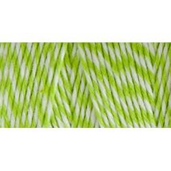 1 Rolle Twine Bakers lime