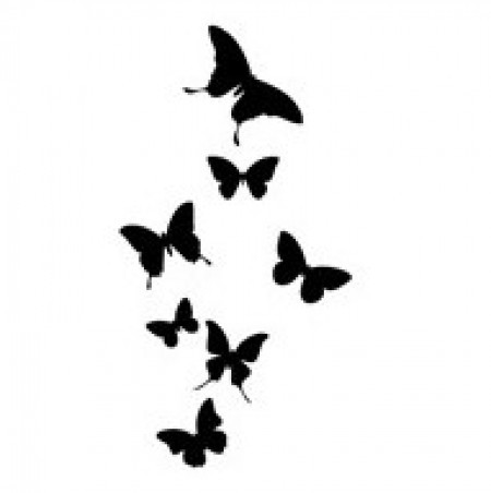 7 Schmetterlinge