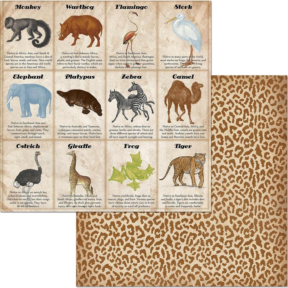 Scrapbooking-Papier Jungle Life Animals