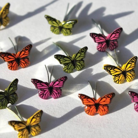 Brads Mini Schmetterlinge